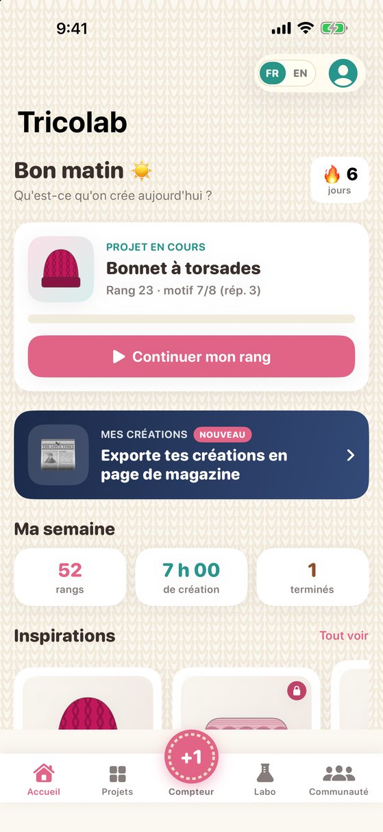 Accueil avec le projet en cours